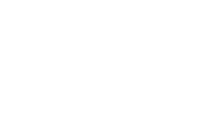 paludo transportes